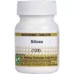 Dr. Willmar Schwabe India Silicea 12X-20GM (Pack of 2) - Fast Shipping to USA