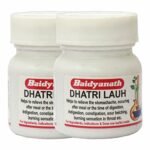 Baidyanath Dhatri Lauh Ayurvedic Supplements For Stomach Health - 40 Tablets (Pack Of 2) - Fast Shipping to USA