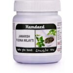 Hamdard Jawarish Pudina Wilayti Pack Of 2 - Fast Shipping to USA