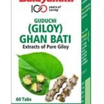 Baidyanath Guduchi (Giloy) Ghanbati - 60 Tablets (pack of 2) - Helps Boost Immunity - Fast Shipping to USA