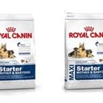 Royal Canin Maxi Milk Starter Pellet Dog Food (1 Kg) - Pack of 2 - Fast Shipping to USA & Canada