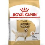 Royal Canin Labrador Pellet Adult Dog Food, Meat Flavor, 3 Kg - Fast Shipping to USA & Canada