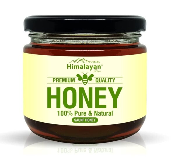 HIMALAYAN BREW Organic Saunf Honey, Real Fennel Honey Flavour | Saunf Honey for Digestion, Appetite & Constipation Relief | Organic Raw Fennel Honey Helps Stomach Health & Metabolism - 400 Gm - Fast Shipping to USA & Canada