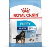 Royal Canin Dry Dog Food Maxi Puppy, Meat Flavour, 4 kg - Fast Shipping to USA & Canada