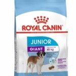 Royal Canin Giant Junior Dry Dog Food, Chicken, 3.5 Kg, 1 Count - Fast Shipping to USA & Canada