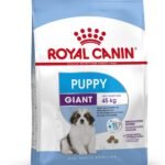 Royal Canin Pellet Giant Puppy Dog Food, Meat Flavour, 15 Kg - Fast Shipping to USA & Canada