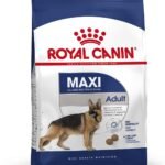 Royal Canin Maxi Adult Pellet Dog Food, Chicken, 4 kg,Pack of 1 - Fast Shipping to USA & Canada