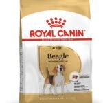 Royal Canin Pellet Beagle Adult Dog Food, Meat Flavour, 3 KG - Fast Shipping to USA & Canada