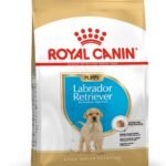 Royal Canin Labrador Retriever Puppy Dry Dog Food 3 Kg Flavour : Meat,Pack of 1 - Fast Shipping to USA & Canada