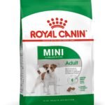 Royal Canin Mini Adult Pellet Dog Food, Meat Flavour, 2 KG - Fast Shipping to USA & Canada