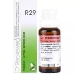 Dr Reckeweg R29 (Theridon) (22ml) - Fast Shipping to USA