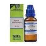 SBL Fucus Vesiculosus 30 CH 30 ML (Pack of 2) - Fast Shipping to USA