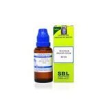 SBL Teucrium Marum Verum 30 CH, 30ML (Pack of 2) - Fast Shipping to USA