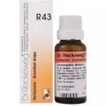 Dr Reckeweg R43 (Herbamine) (22ml) - Fast Shipping to USA