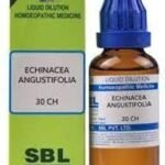 SBL Echinacea Angustifolia 30 CH 30ML | pack of 2 - Fast Shipping to USA