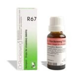 DR RECKEWEG R 67 CIRCULATORY DEBILITY 22 ML RECKEWEG - Fast Shipping to USA