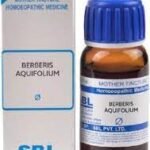 SBL Berberis Aquifolium Q | pack of 2 | 30ml