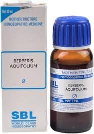SBL Berberis Aquifolium Q | pack of 2 | 30ml
