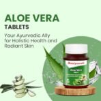 Baidyanath Aloe Vera 60 Tablets | Nutritional Supplement For Healthy Skin And Liver | Eliminates Toxins And Boosts Immune System (Pack of 1) - Fast Shipping to USA - Image 2