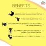 Sandu Abhayarishta 450 ml) - Fast Shipping to USA - Image 5