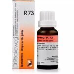DR RECKEWEG R 73 JOINTS 22 ML RECKEWEG - Fast Shipping to USA