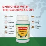 Baidyanath Gaisantak Bati, Reduces And Neutralizes Acid Levels|Provide Quick Relief From Common Digestive Problems Like Gas, Hyperacidity, Flatulence And Bloating (Powder, 100 G) - Fast Shipping to USA - Image 4
