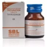 SBL Thyroidinum 6X (25g) - Fast Shipping to USA