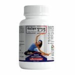 Baidyanath Medohar Guggulu, 120 Tablets - Pack of 2 - Fast Shipping to USA