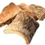 Divesh Store Varuna Bark (250Grm)- Cretaeva Nurvala - Barna - Lengam Tree Bark - Barna Chaal - Varuna Chal - Varun Bark - Varun Garlic Pear Tree - ????? ??? - Fast Shipping to USA