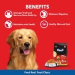 Drools Chicken and Egg Adult Dry Dog Food, 10kg - Fast Shipping to USA & Canada - Image 4