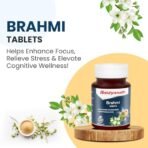 Baidyanath Brahmi Tablets- 60 Tab | Helps To Handle Life?s Daily Stress | Promotes Mind Relaxation (Pack of 2) - Fast Shipping to USA - Image 2