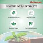 Baidyanath Tulsi Tablets - 60 Tab|Helps in Boosts Immunity | Helpful in Cough & Cold (Pack of 1) - Fast Shipping to USA - Image 3