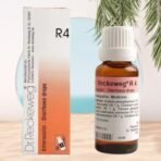 Dr Reckeweg R4 Homeopathic Medicine Enterocolin - 22ml Original_Imported - Fast Shipping to USA - Image 2
