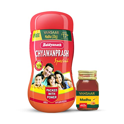 Baidyanath Chyawanprash Special - Pack of 500g with 20g Madhu Free | Immunity Booster | Enhances Strength & Stamina - Fast Shipping to USA