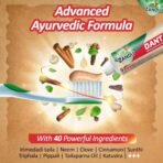Zandu Dantveer, 500g, India?s 1st Ayurvedic toothpaste with Irimedadi oil | Scientifically proven formula |Fights 9 dental problems - Fast Shipping to USA & Canada - Image 7