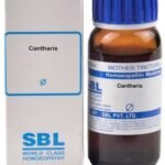 SBL Cantharis Q Mother Tincture (30 ml) - Fast Shipping to USA