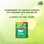 Zandu Balm, 25ml X Pack of 3, Ayurvedic balm for effective relief from Headache, Body Pain, Sprain and Cold - Fast Shipping to USA - Image 3