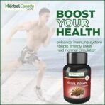 Herbal Canada Musli Power Capsule (60 Capsule) Supports Immunity, Improves Strength, Provides Energy Level.Improves Strength, Stamina & Enhanced Long Time Performance - Fast Shipping to USA - Image 4