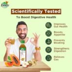 Zandu Digestive Care Juice 500g - Image 5