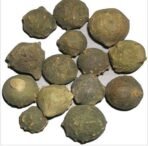 Divesh Store Majuphal - 100 Grm - Mayphal - Quercus Infectoria - Majakani - Dyers Oak - Gull Oak - Gullnuts - olive Machikaya - Katala Mayu - Masikkai - ?????? - Fast Shipping to USA - Image 4