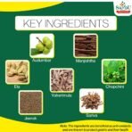 SANDU Ayurvedic Acivin (200 Ml) - Syrup - Fast Shipping to USA - Image 4