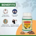 Baidyanath Gaisantak Bati, Reduces And Neutralizes Acid Levels|Provide Quick Relief From Common Digestive Problems Like Gas, Hyperacidity, Flatulence And Bloating (Powder, 100 G) - Fast Shipping to USA - Image 3