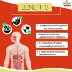 Sandu Mahasudarshan Kadha (450 ml) - Fast Shipping to USA - Image 5