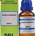 SBL Berberis Aquifolium 200 CH Dilution (30 ml)