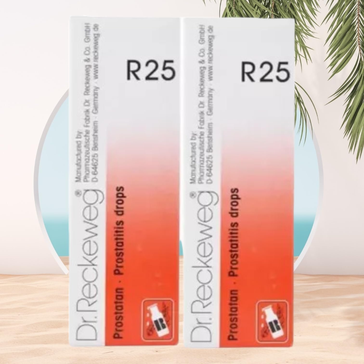 Version 1.0.0 Dr Reckeweg R25 Homeopathic Medicine Prostatan - Homeopathic Medicine 22ml, Pack of 2 - Fast Shipping to USA - Image 1