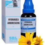 SBL Hydrangea Arborescens Mother Tincture Q 30ml - Set of 1 Bottle - Fast Shipping to USA