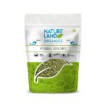 Natureland Organics Fennel (Saunf) 100 gm - Organic Saunf - Fast Shipping to USA & Canada