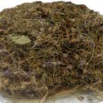 Divesh Store Gulbanafsha 100 Grm - Viola Odorata - Sweet Violet - Gul Banafsha - Gul Banafsha - ??? ????? - Fast Shipping to USA