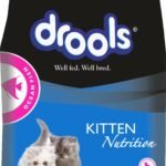 Drools Kitten Dry Cat Food Ocean Fish, 4kg Pack (3kg+1kg food Free Inside) - Fast Shipping to USA & Canada