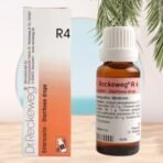 Dr Reckeweg R4 Homeopathic Medicine Enterocolin - 22ml Original_Imported - Fast Shipping to USA